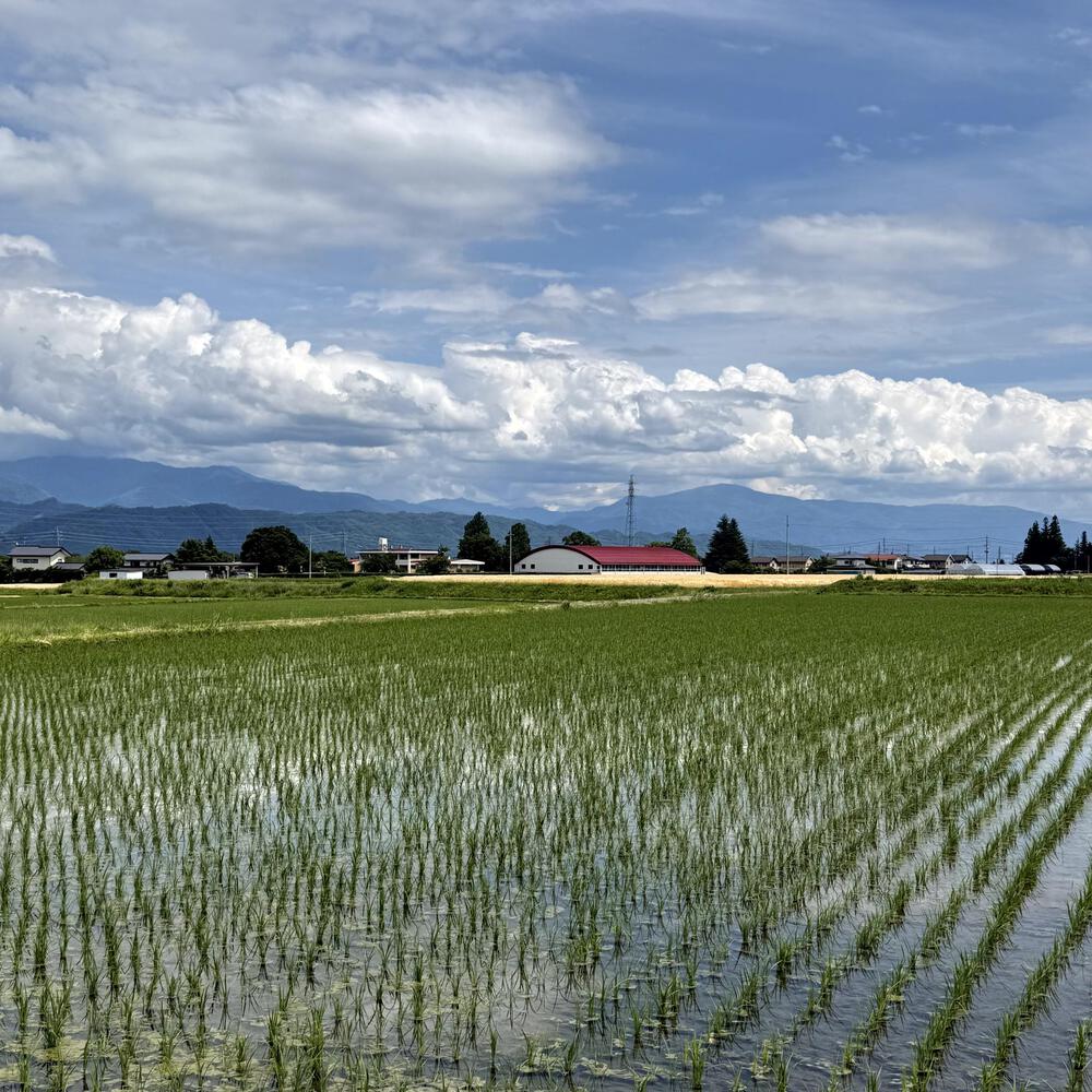安曇野穂高の田園エリアをお散歩ジョグの写真34