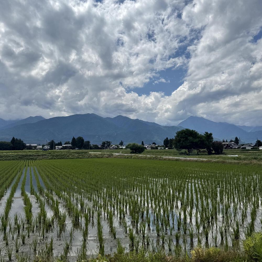 安曇野穂高の田園エリアをお散歩ジョグの写真44
