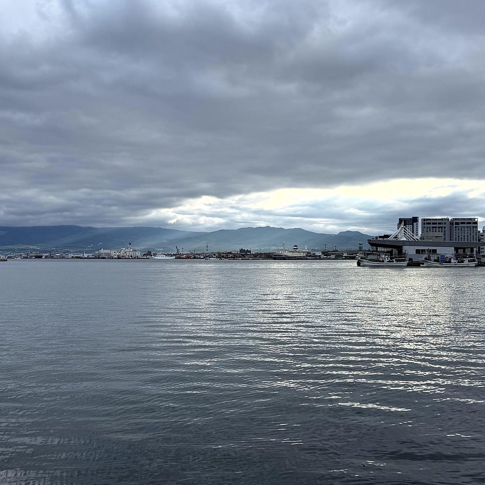 函館山の麓を巡り絶景堪能の写真8