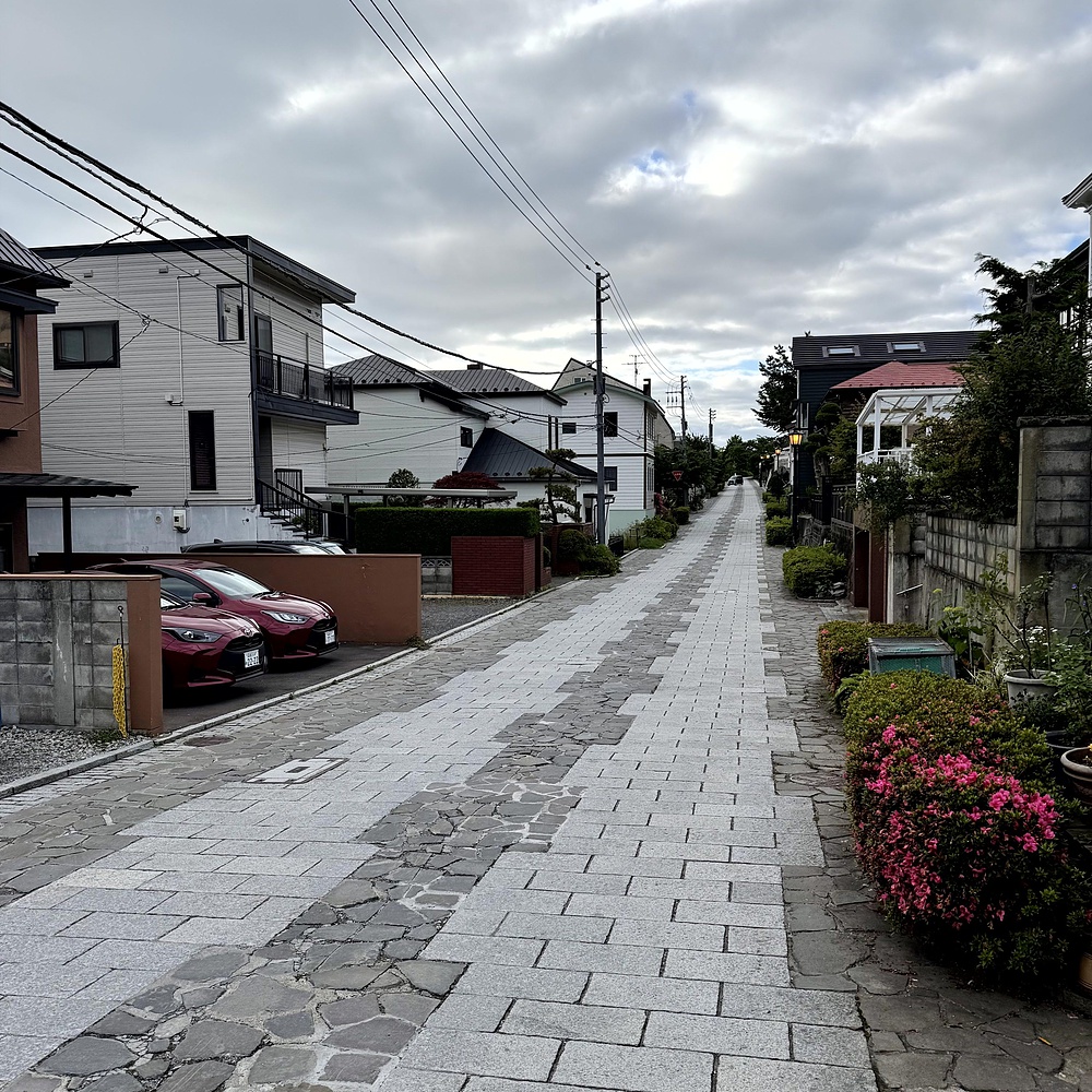 函館山の麓を巡り絶景堪能の写真29