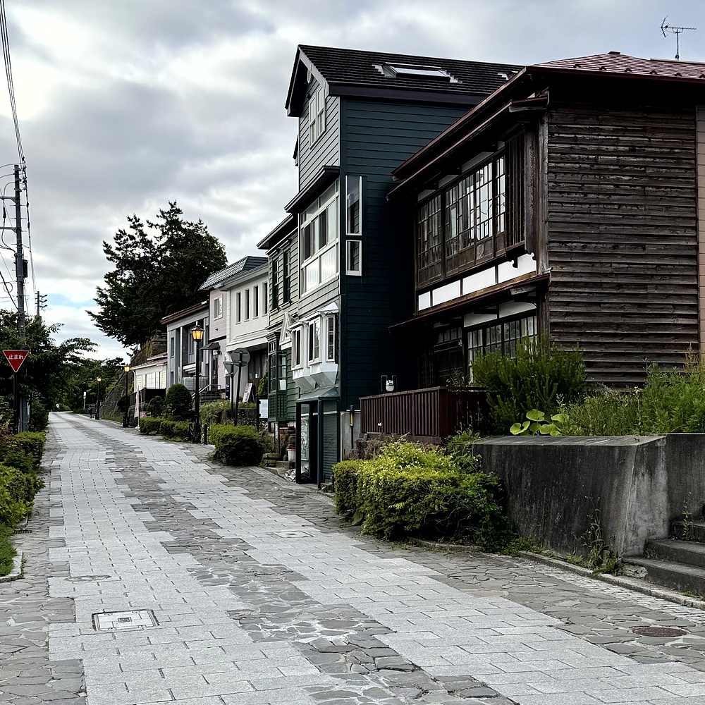 函館山の麓を巡り絶景堪能の写真30