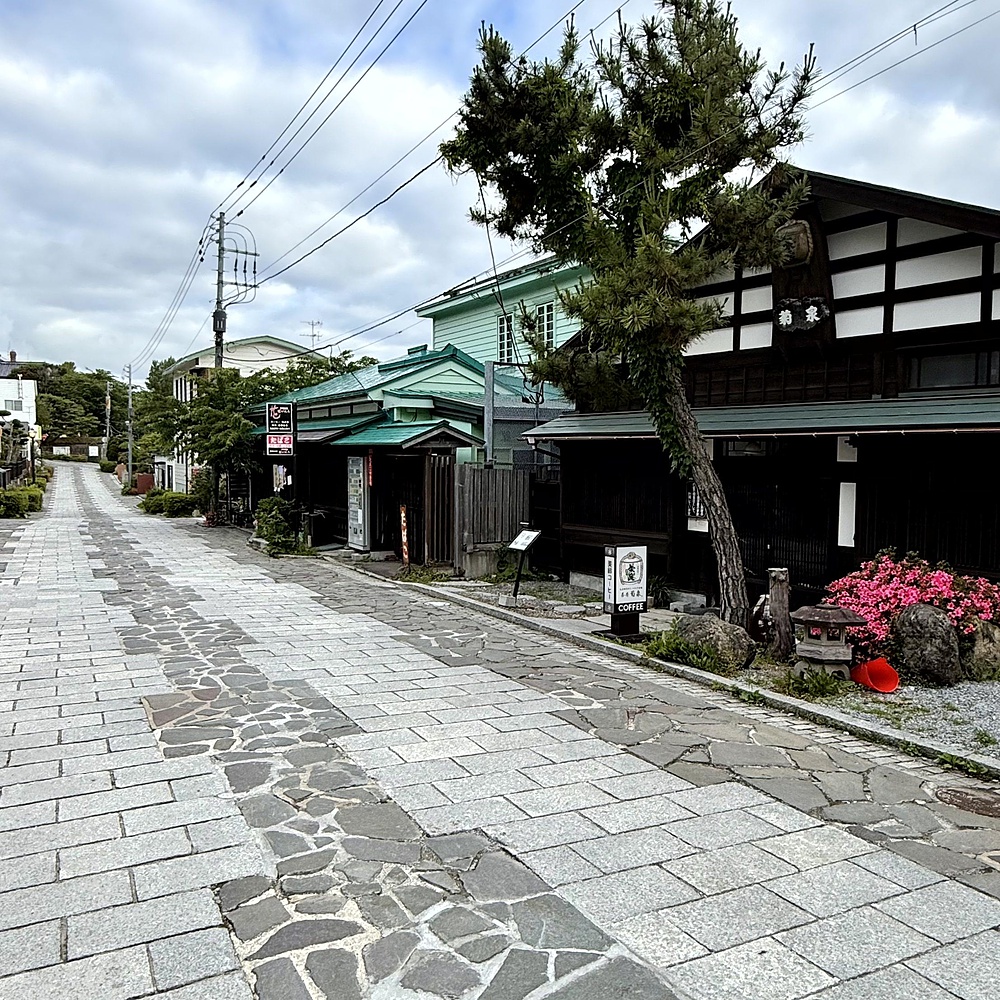 函館山の麓を巡り絶景堪能の写真32