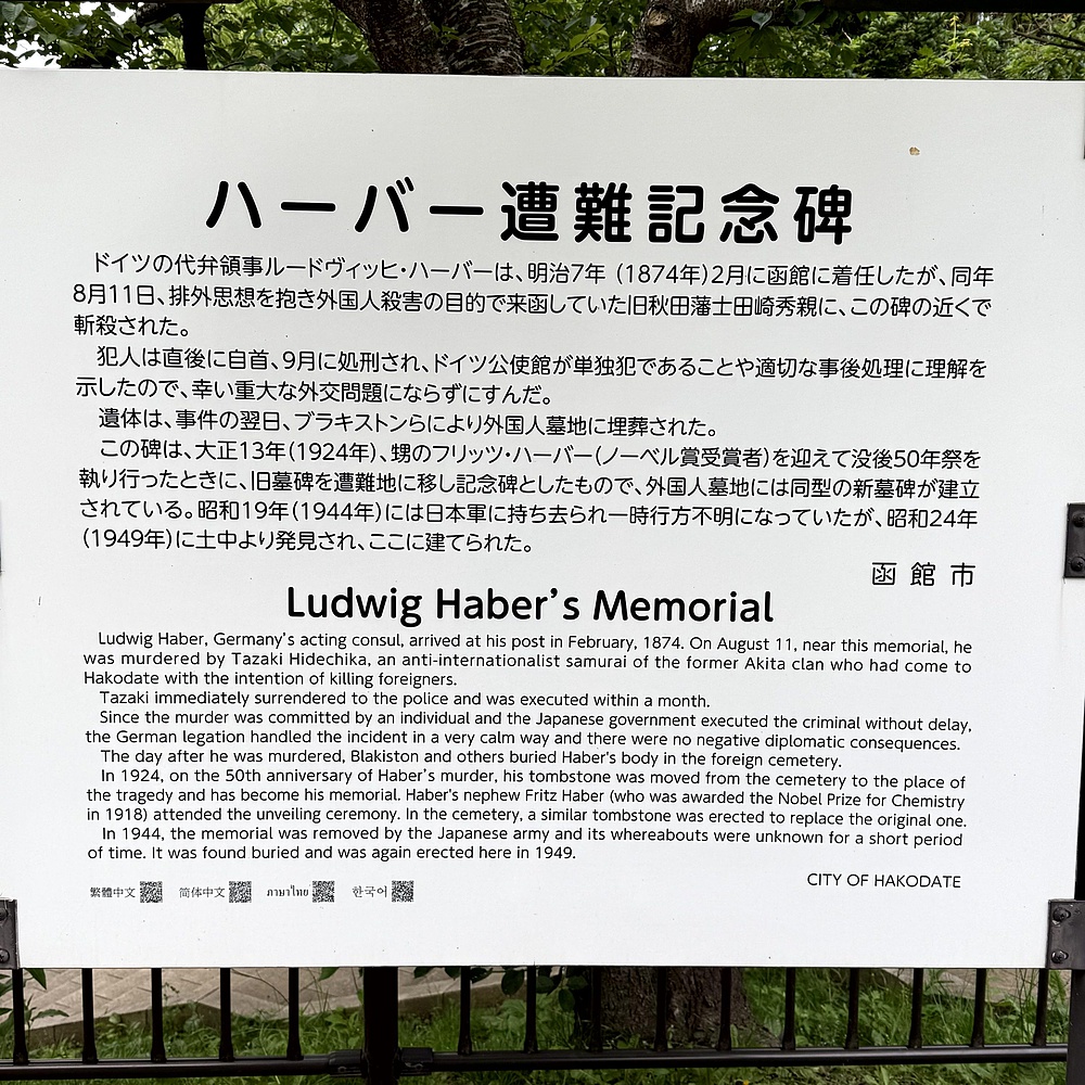 函館山の麓を巡り絶景堪能の写真43