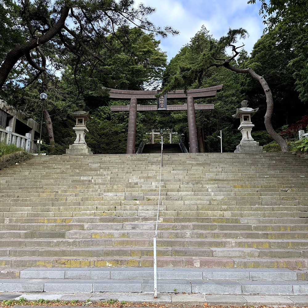 函館山の麓を巡り絶景堪能の写真44