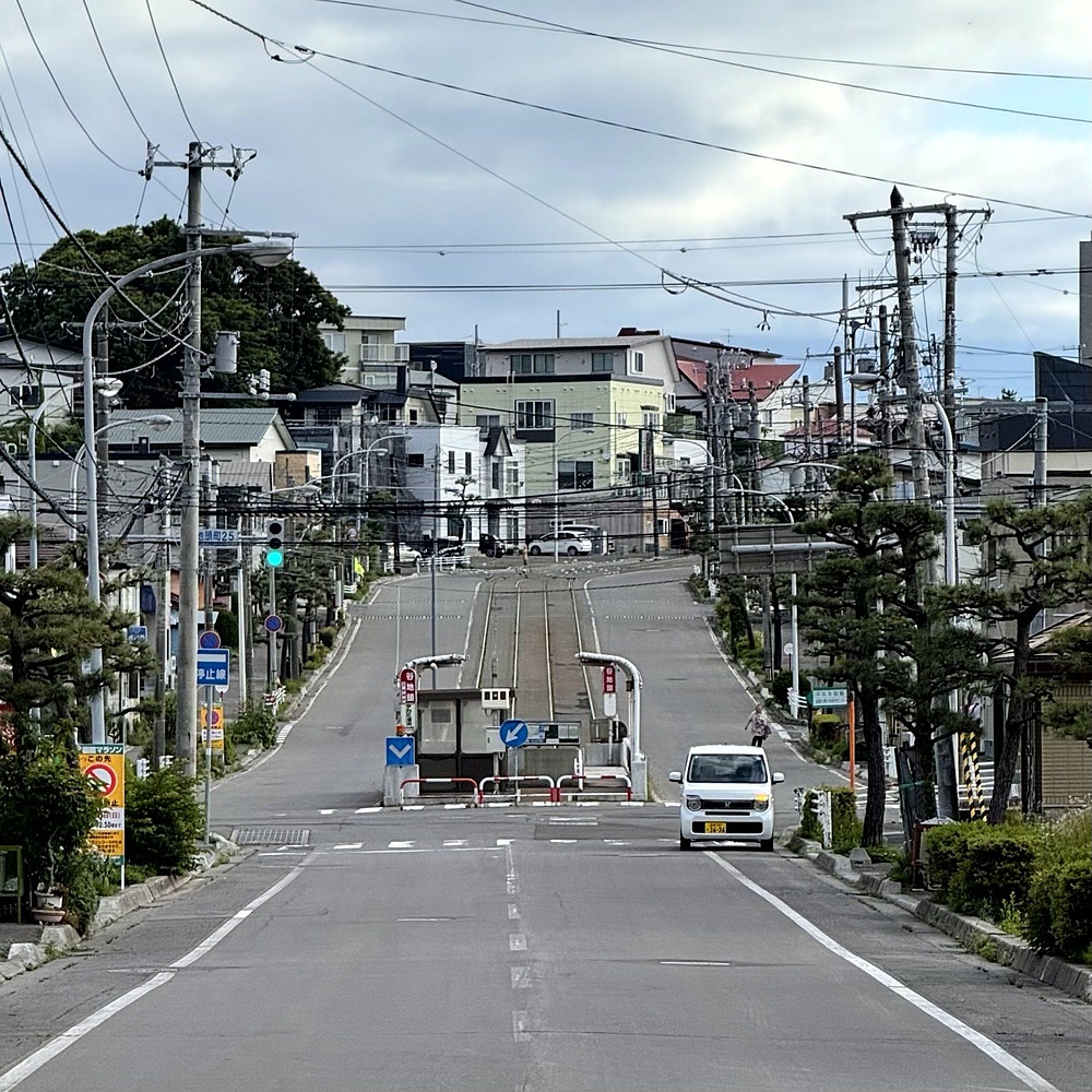 函館山の麓を巡り絶景堪能の写真46