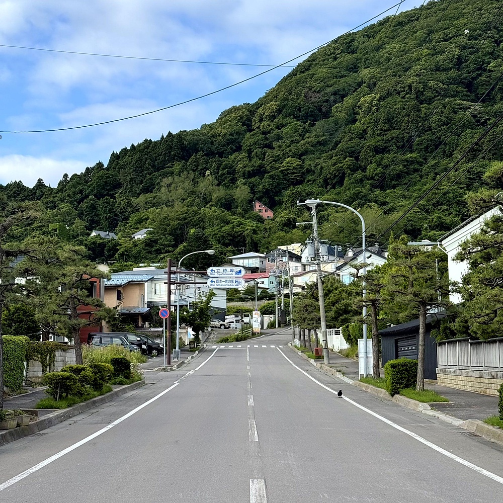 函館山の麓を巡り絶景堪能の写真47