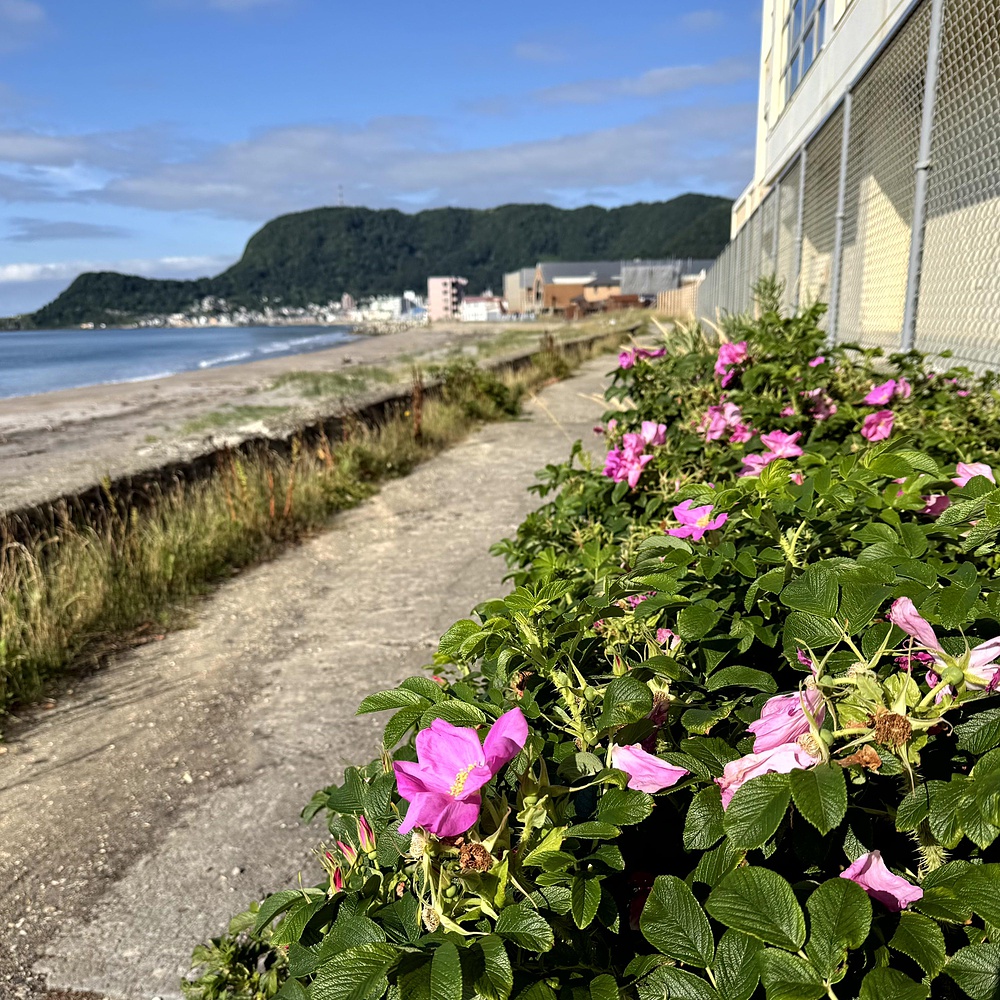 函館山の麓を巡り絶景堪能の写真64
