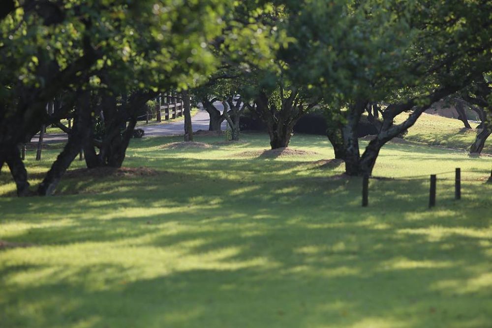千波湖の奥・色鮮やかな偕楽園公園の写真6