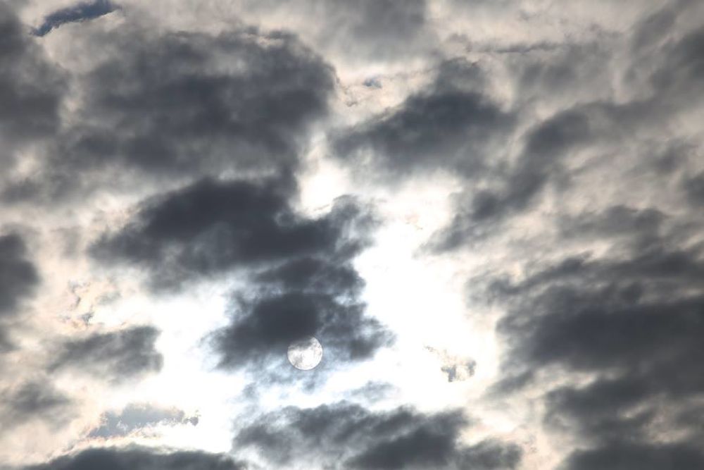 千波湖の奥・色鮮やかな偕楽園公園の写真8
