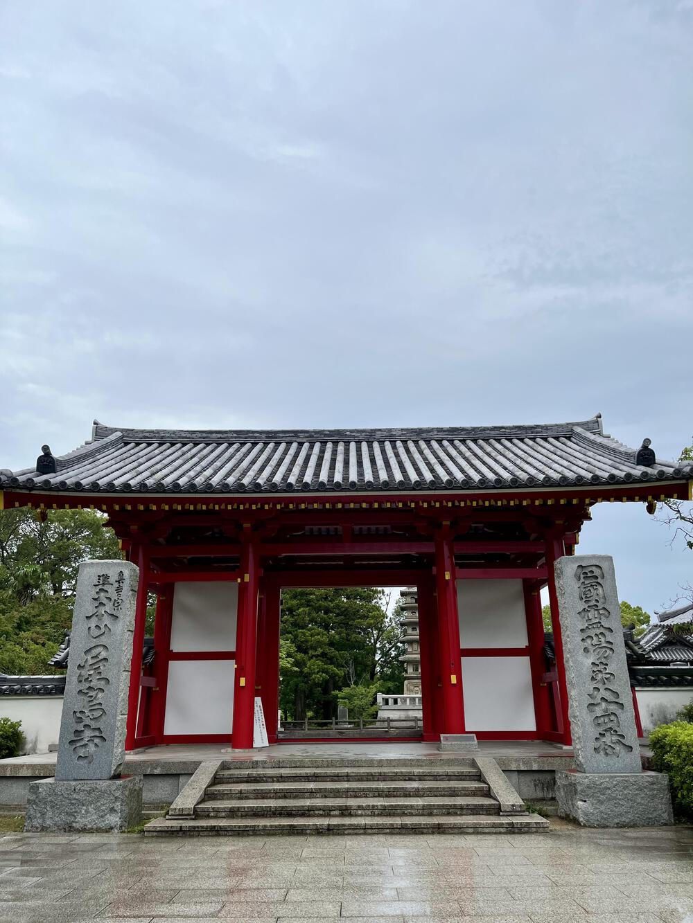 絶景を眺めながら走れる斜度の峠走の写真5