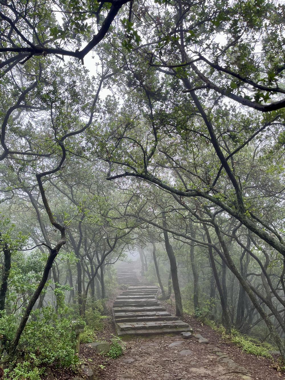 絶景を眺めながら走れる斜度の峠走の写真7
