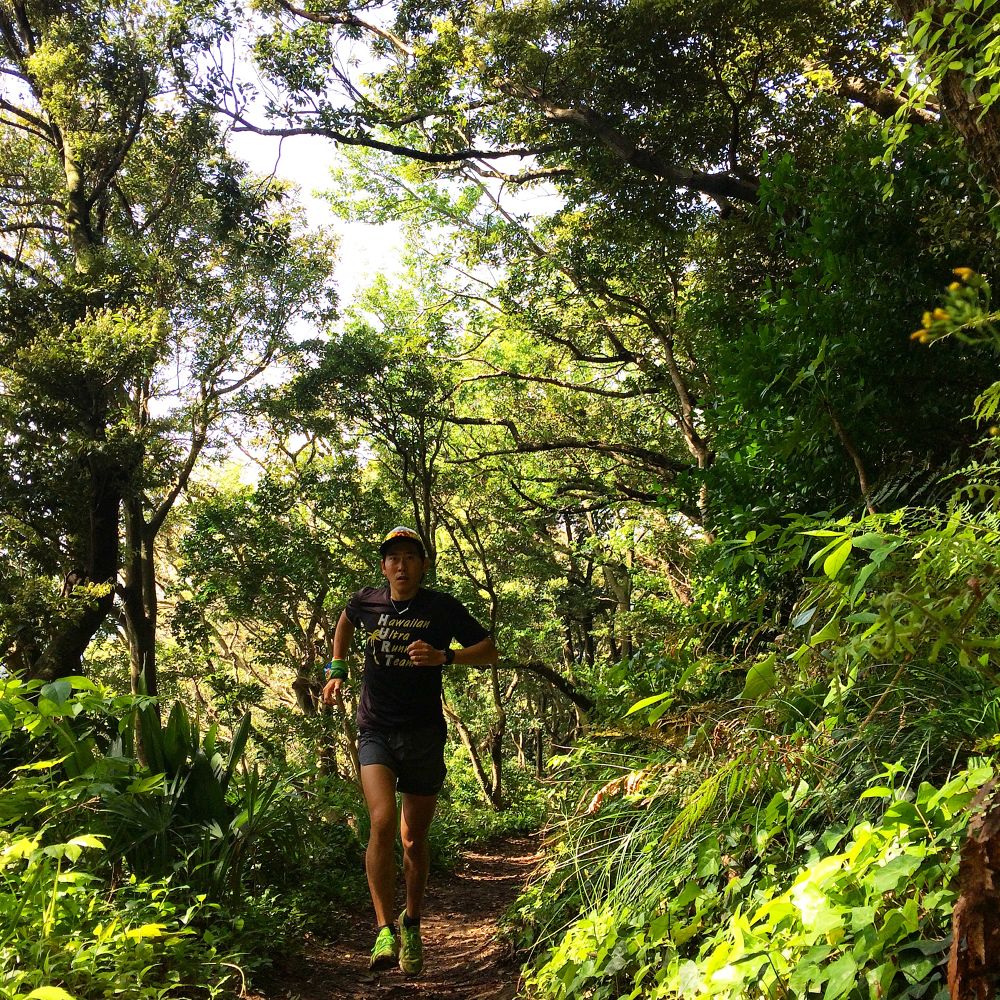 逗子葉山定番トレイルコースへようこそ！の写真3