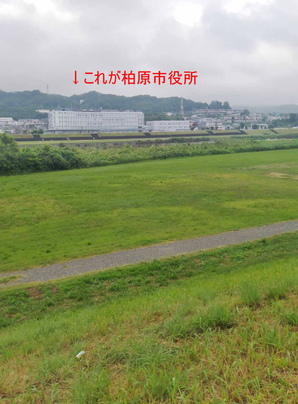 LSDにもペース走にも最適な石川河川敷（富田林～柏原市役所往復）の写真3