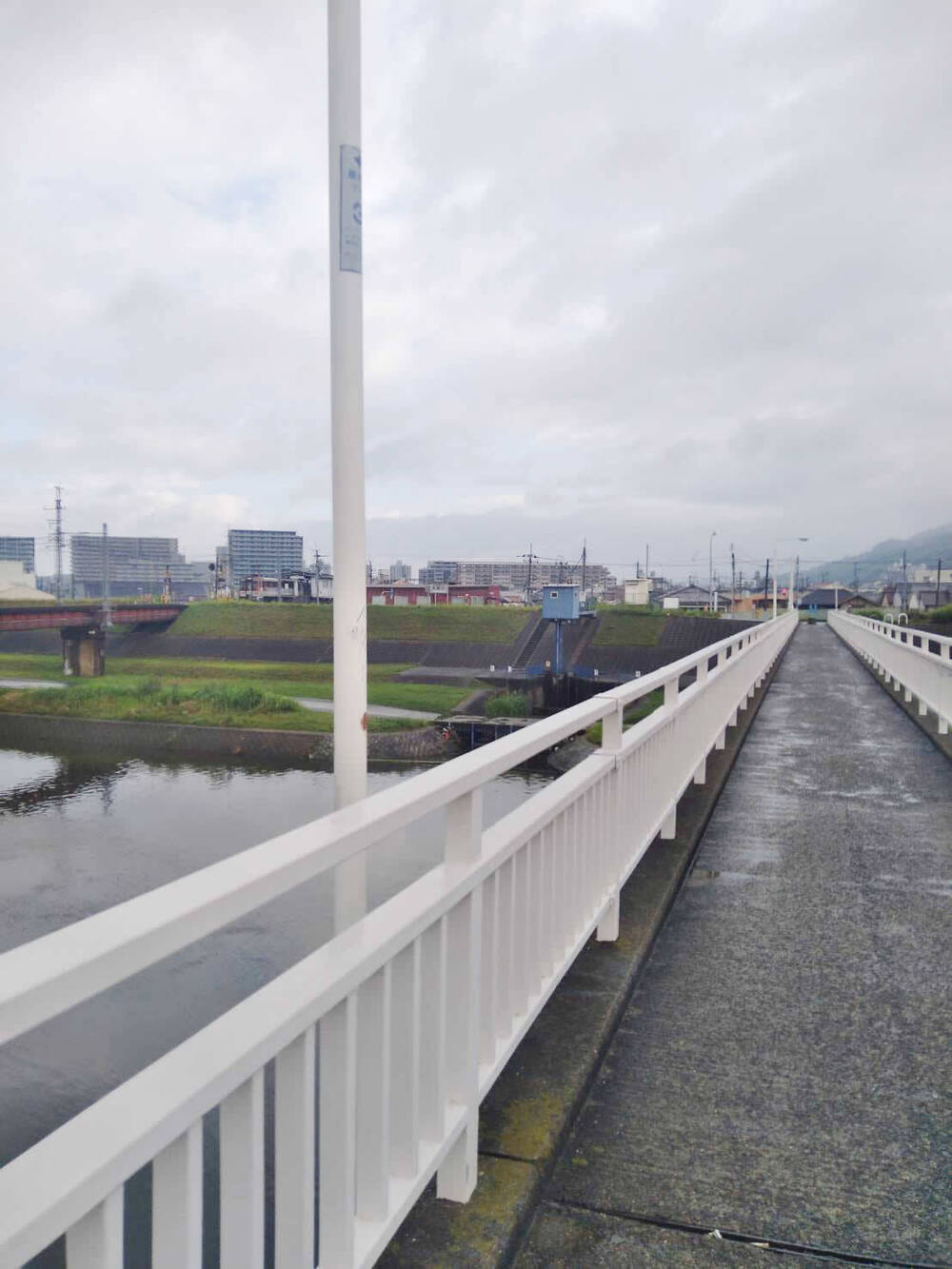 LSDにもペース走にも最適な石川河川敷（富田林～柏原市役所往復）の写真6