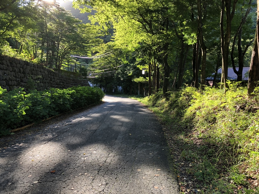 四万温泉朝ラン！早朝の四万川ダム！の写真3