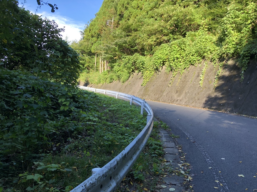 四万温泉朝ラン！早朝の四万川ダム！の写真4