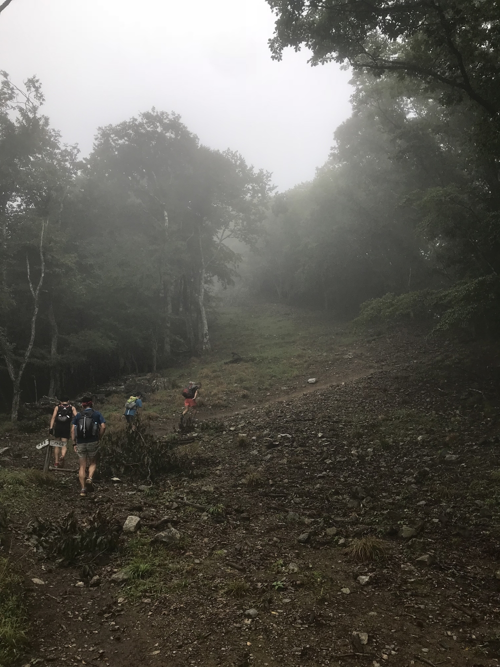 95%トレイル！ 33K 奥多摩駅〜七ツ石山〜雲取山〜鴨沢バス停の写真3