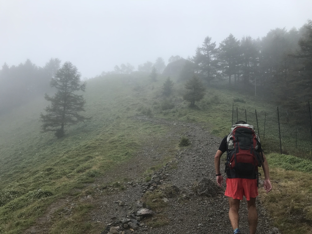 95%トレイル！ 33K 奥多摩駅〜七ツ石山〜雲取山〜鴨沢バス停の写真8
