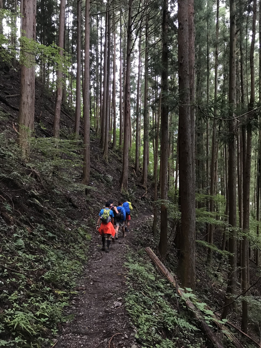 95%トレイル！ 33K 奥多摩駅〜七ツ石山〜雲取山〜鴨沢バス停の写真13