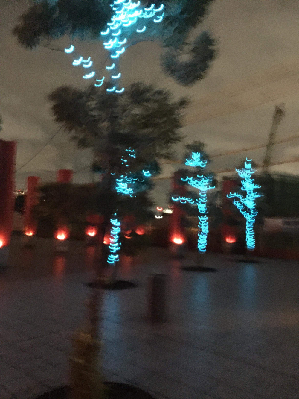 東京観光ラン【夜景】晴海埠頭、銀座の写真3