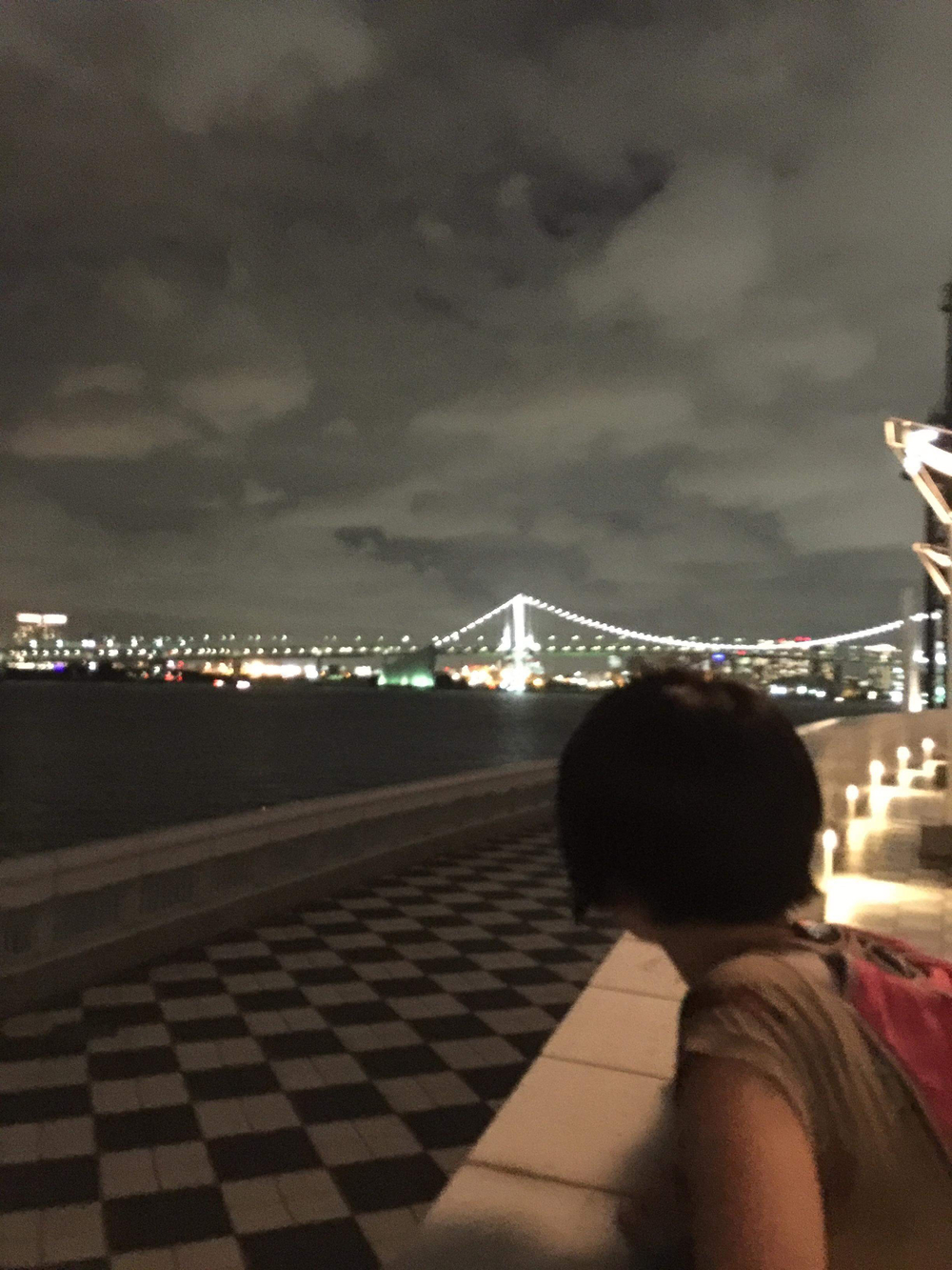 東京観光ラン【夜景】晴海埠頭、銀座の写真4