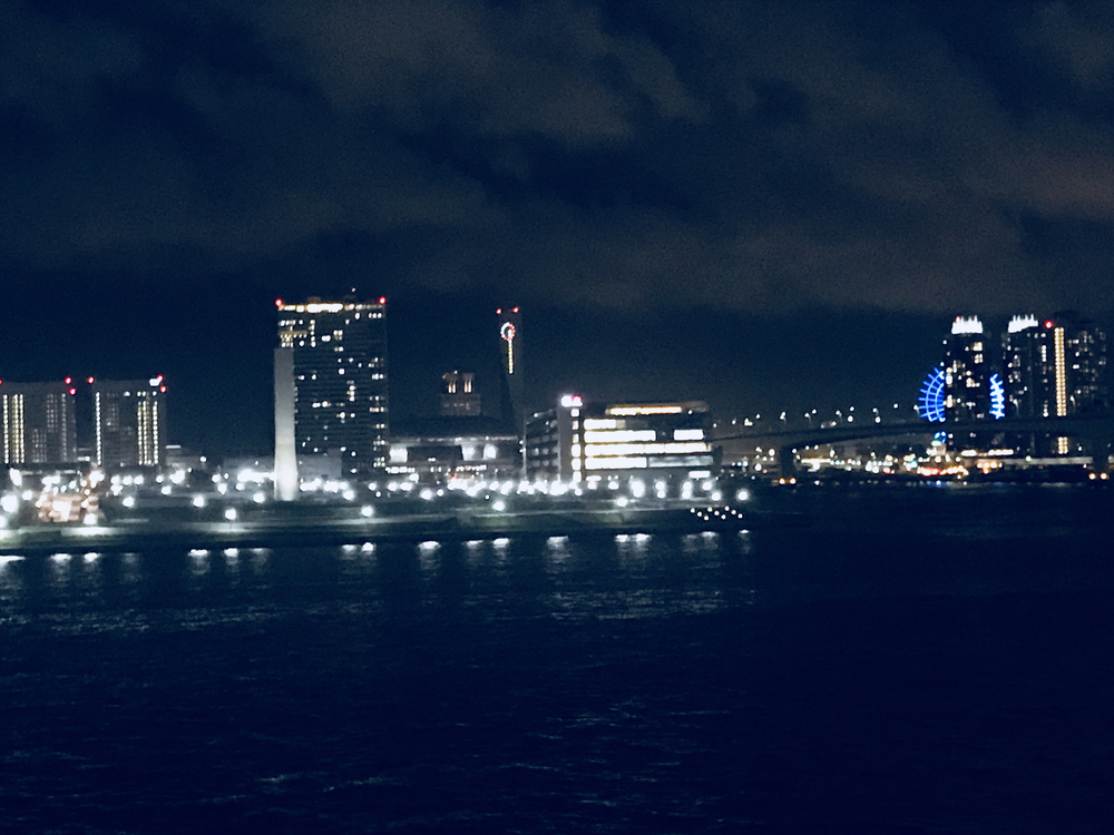 東京観光ラン【夜景】晴海埠頭、銀座の写真5