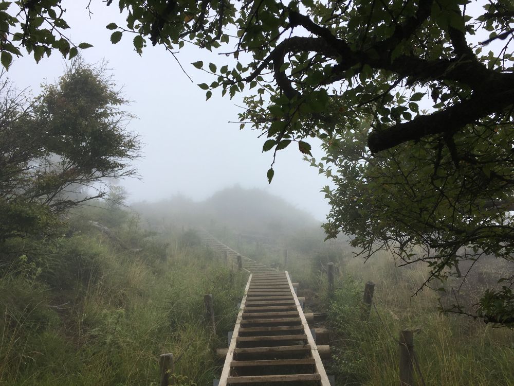 晴れれば絶景だったのに！塔ノ岳トレランの写真3