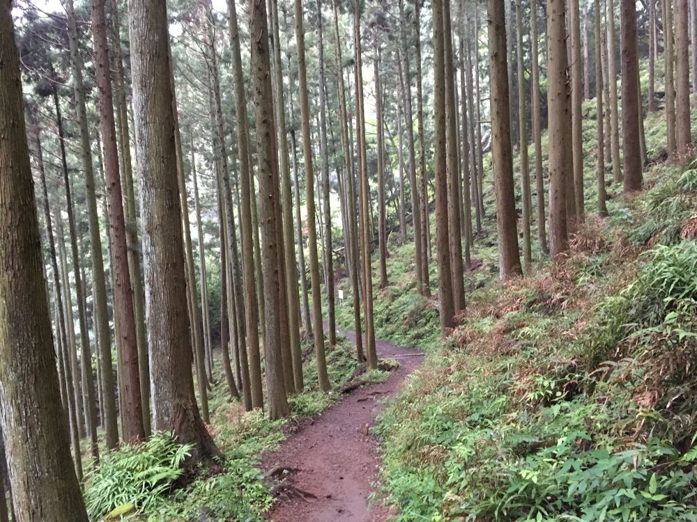 晴れれば絶景だったのに！塔ノ岳トレランの写真4