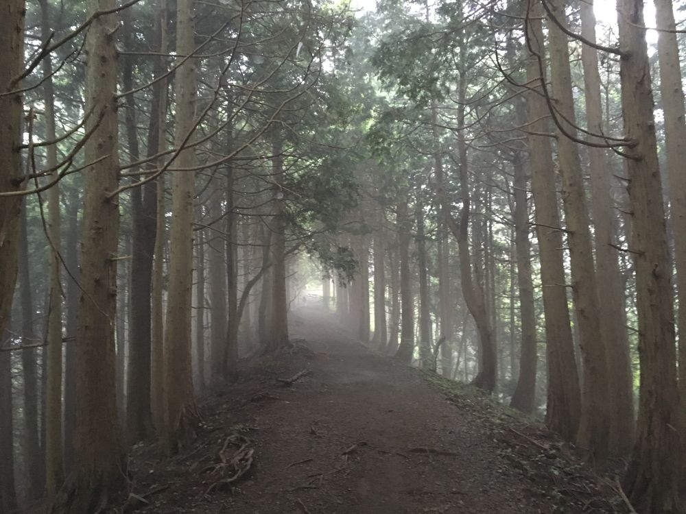 晴れれば絶景だったのに！塔ノ岳トレランの写真5