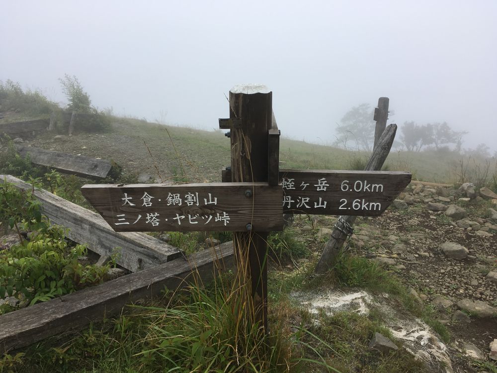 晴れれば絶景だったのに！塔ノ岳トレランの写真6