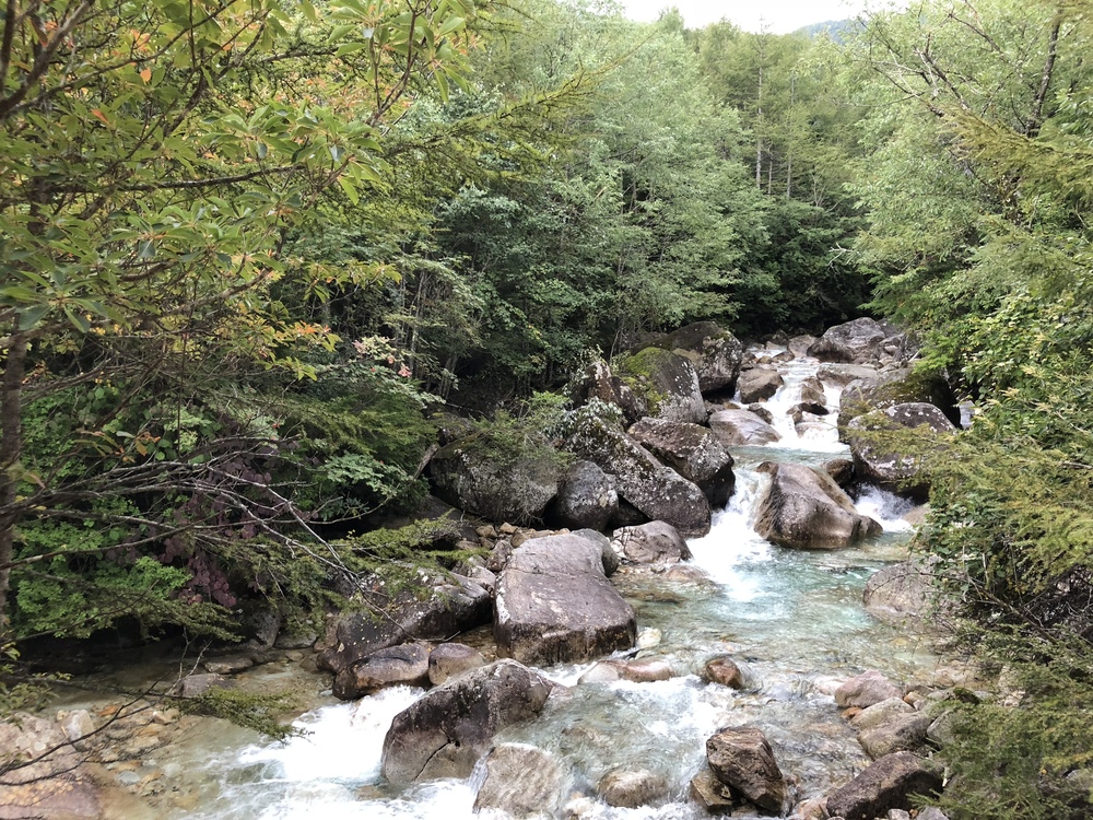 金峰山トレイルの写真3