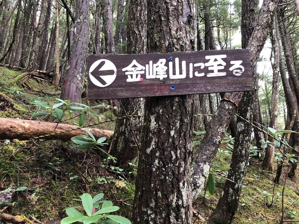 金峰山トレイルの写真7