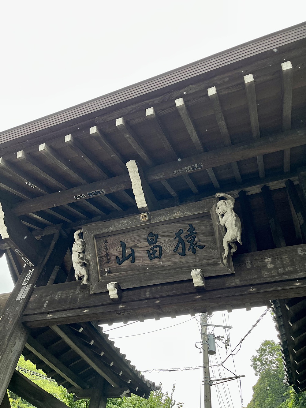 鎌倉観光トレイルハイクの写真6