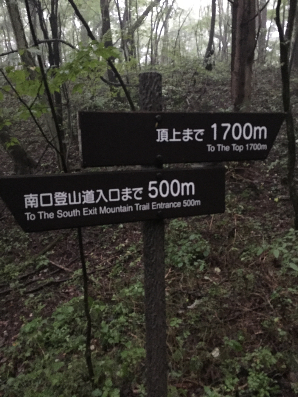 軽井沢 離山公園 南口の写真4