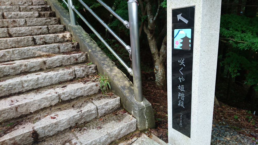 【This is Japan!!】富士吉田の絶景を見に行こうの写真6