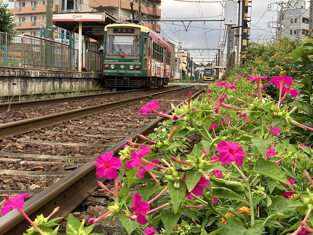 都電モナカと鉄道の街ランの写真7