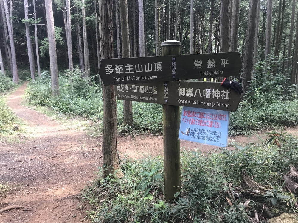 90%トレイル！脚殺しの飯能アルプス（高麗駅〜天覚山〜大高山〜吾野駅）の写真3