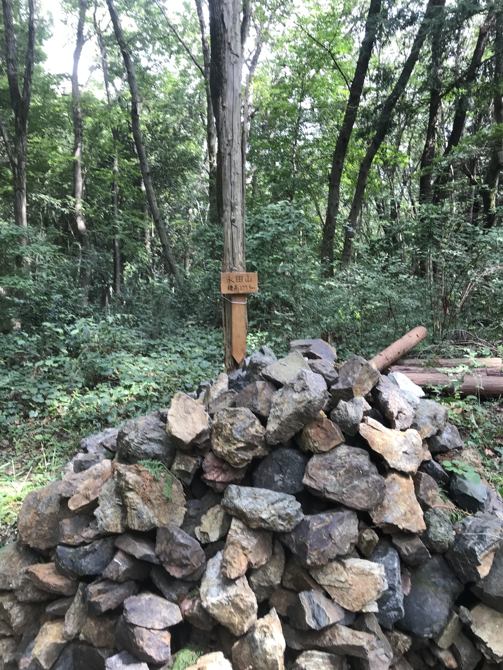 90%トレイル！脚殺しの飯能アルプス（高麗駅〜天覚山〜大高山〜吾野駅）の写真4