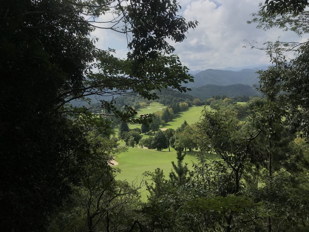 90%トレイル！脚殺しの飯能アルプス（高麗駅〜天覚山〜大高山〜吾野駅）の写真6
