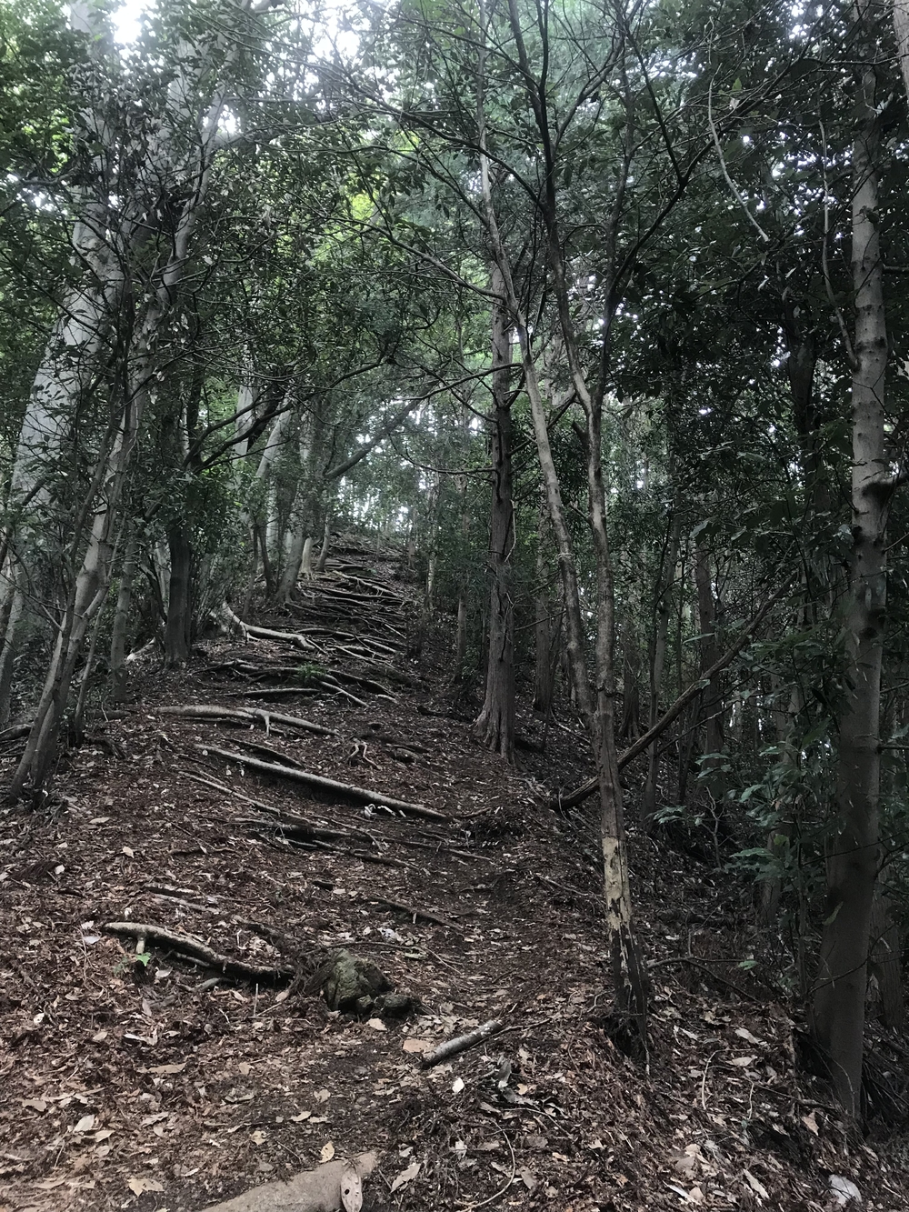 90%トレイル！脚殺しの飯能アルプス（高麗駅〜天覚山〜大高山〜吾野駅）の写真9