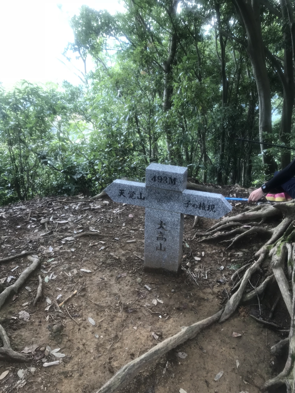 90%トレイル！脚殺しの飯能アルプス（高麗駅〜天覚山〜大高山〜吾野駅）の写真10