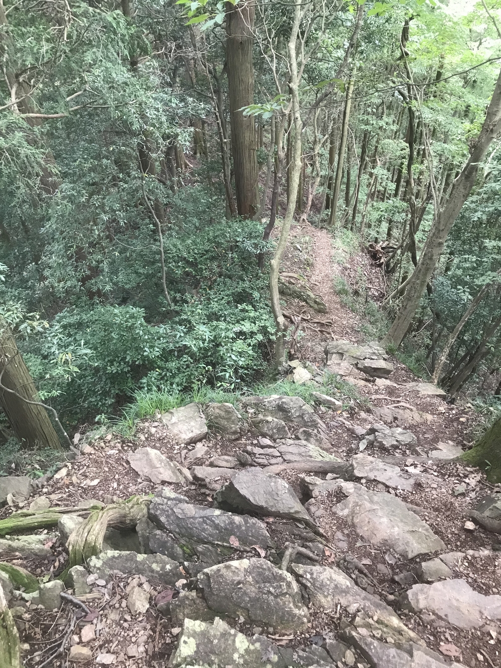 90%トレイル！脚殺しの飯能アルプス（高麗駅〜天覚山〜大高山〜吾野駅）の写真11