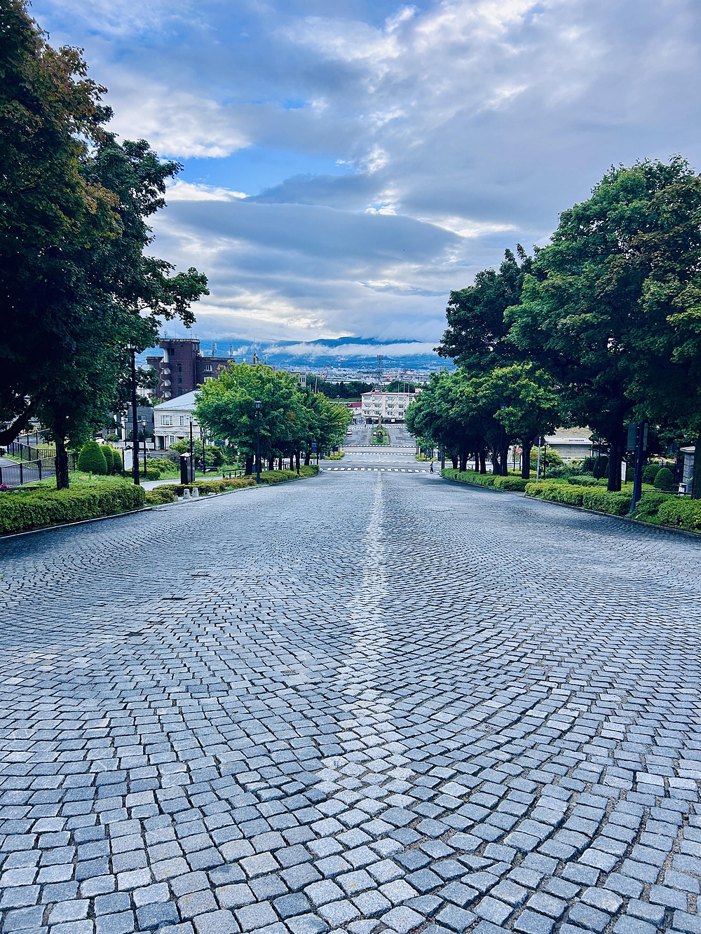 函館ベイエリア～元町10kmの写真4