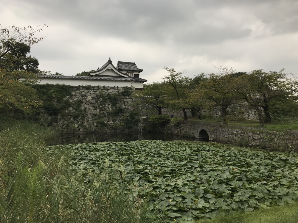 短時間で福岡市をまるっとプチ観光気分！の写真5