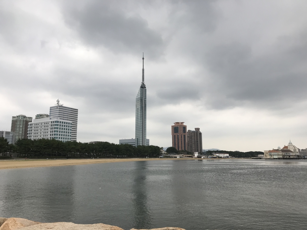 短時間で福岡市をまるっとプチ観光気分！の写真11