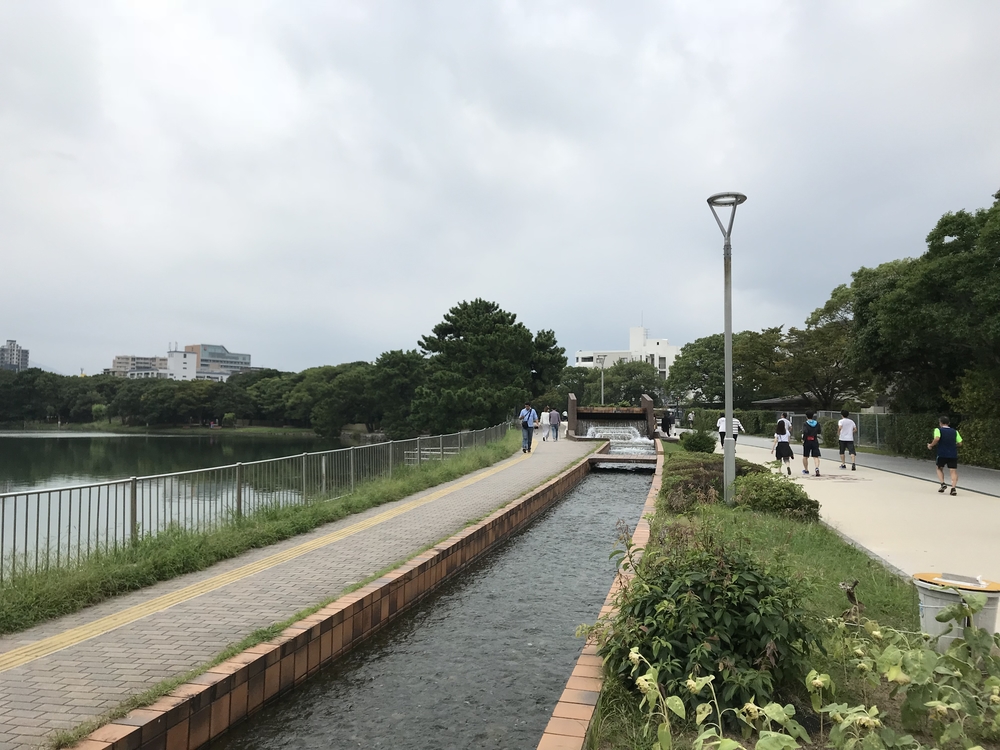 短時間で福岡市をまるっとプチ観光気分！の写真14