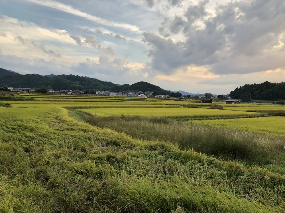 古代ロマンあふれる飛鳥周遊コースの写真3