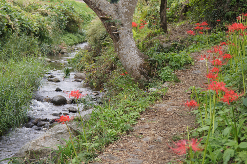 古代ロマンあふれる飛鳥周遊コースの写真5