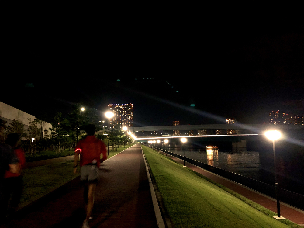 はじめてのお台場ならとりあえずここ、なコース。の写真4