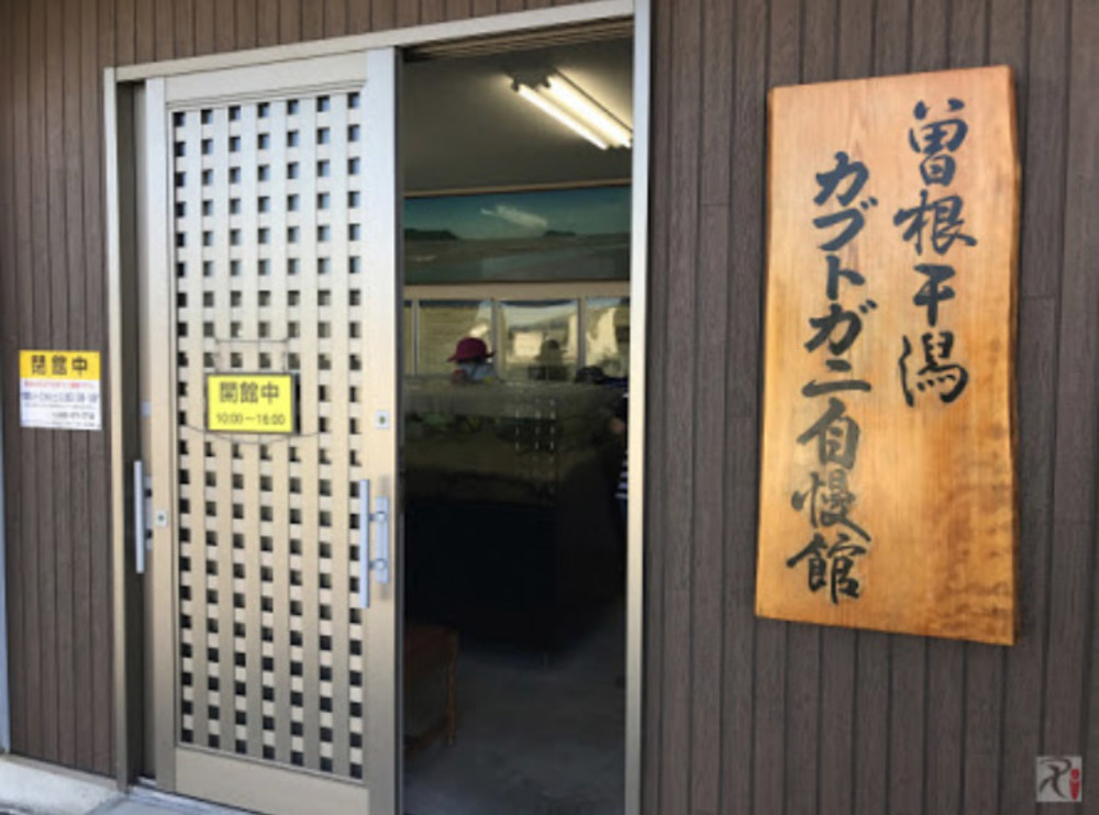 最高の朝焼けと生きた化石に出会える？ Runtripの写真11